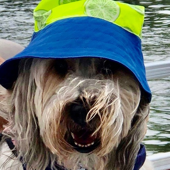 👜  Bijou’s Accessories!  🧳 - Picture 6 of 15